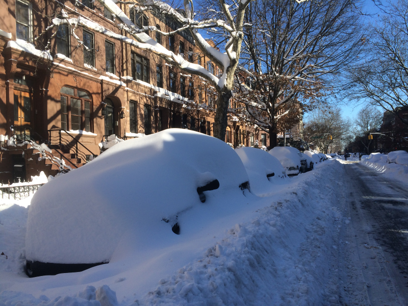 Illustration for article titled A Blizzard Grows in Brooklyn